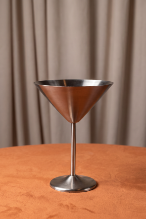 TBLE Stainless Martini